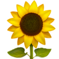 Sunflower Emoji Apple