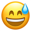 Grinning Face With Sweat Emoji Apple