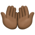 Palms Up Together Emoji Facebook