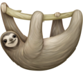 Sloth Emoji Facebook