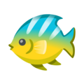 Tropical Fish Emoji Google