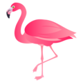 Flamingo Emoji Joypixels