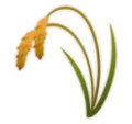 Sheaf Of Rice Emoji Lg