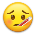 Face With Thermometer Emoji Lg