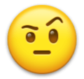 Face With Raised Eyebrow Emoji Lg
