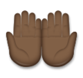 Palms Up Together Emoji Lg