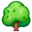 Deciduous Tree Emoji Samsung