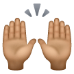 Raising Hands Emoji Samsung
