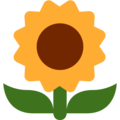 Sunflower Emoji Twitter