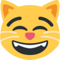 Grinning Cat With Smiling Eyes Emoji Twitter