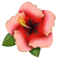 Hibiscus Emoji Whatsapp