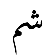 Arabic Ligature Sheen With Meem Isolated Form