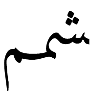 Arabic Ligature Sheen With Meem With Meem Final Form