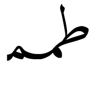 Arabic Ligature Tah With Meem With Meem Initial Form