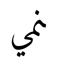 Arabic Ligature Noon With Meem With Yeh Final Form