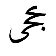 Arabic Ligature Jeem With Hah With Alef Maksura Final Form