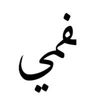 Arabic Ligature Feh With Meem With Yeh Final Form