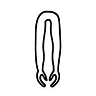 Egyptian Hieroglyph-#139A6