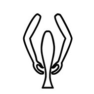 Egyptian Hieroglyph-#139AE