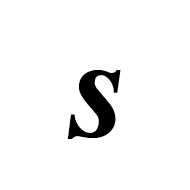 Mathematical Bold Italic Small S