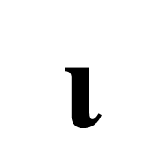 Mathematical Bold Small Iota