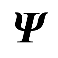 Mathematical Bold Italic Capital Psi