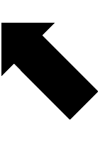 North West Black Arrow