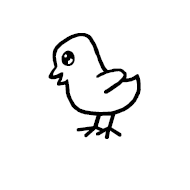 Baby Chick