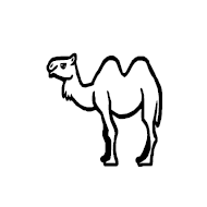 Bactrian Camel
