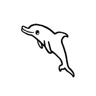 Dolphin