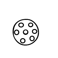 Phaistos Disc Sign Shield