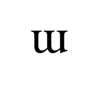 Modifier Letter Small Turned M