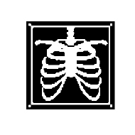 X-Ray