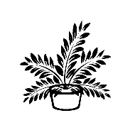 Potted Plant