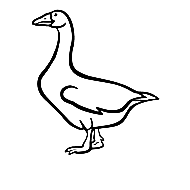 Goose