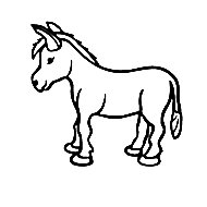 Donkey